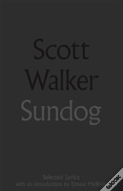 Capa do artigo Sundog