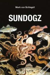Capa do artigo Sundogz