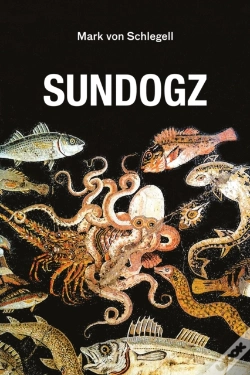 Capa do artigo Sundogz