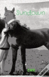 Capa do artigo Sundown