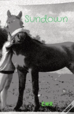 Capa do artigo Sundown