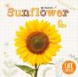 Sunflower - Preview
