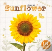Capa do artigo Sunflower