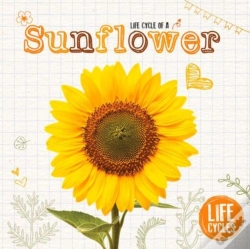 Capa do artigo Sunflower