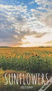 Capa do artigo Sunflowers 2021 Diary