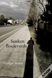 Capa do artigo Sunken Boulevards