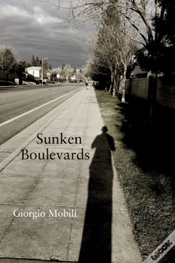 Capa do artigo Sunken Boulevards