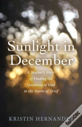 Sunlight In December