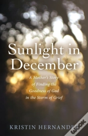 Capa do artigo Sunlight In December