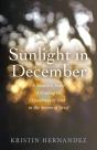 Sunlight In December - Preview