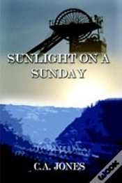 Capa do artigo Sunlight On A Sunday
