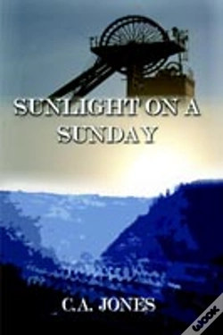 Capa do artigo Sunlight On A Sunday