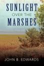 Sunlight Over The Marshes - Preview