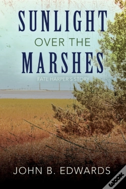 Capa do artigo Sunlight Over The Marshes