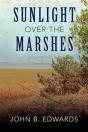 Sunlight Over The Marshes - Preview