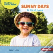 Capa do artigo Sunny Days