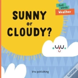 Capa do artigo Sunny Or Cloudy?