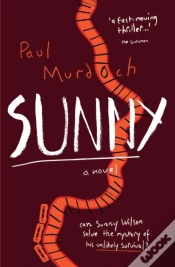 Capa do artigo Sunny
