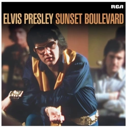 Capa do artigo Sunset Boulevard - Vinil