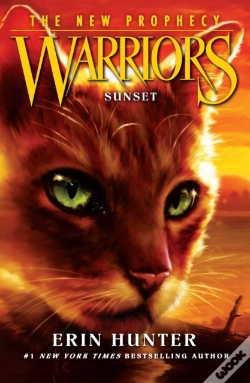 Capa do artigo Sunset