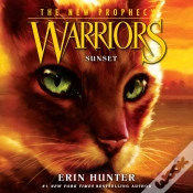 Capa do artigo Sunset