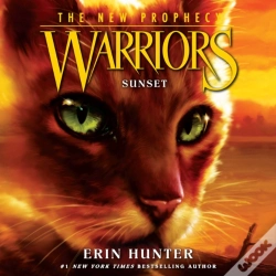 Capa do artigo Sunset