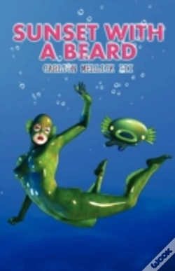 Capa do artigo Sunset With A Beard