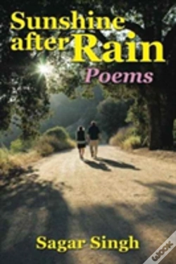 Capa do artigo Sunshine After Rain