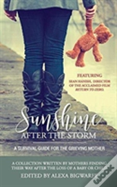Sunshine After The Storm