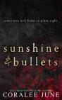Sunshine And Bullets - Preview