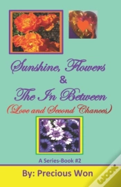 Capa do artigo Sunshine, Flowers   The In Between  Love