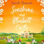 Sunshine Over Bluebell Castle - Preview