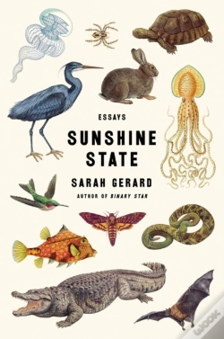 Capa do artigo Sunshine State