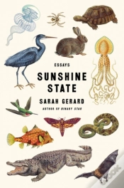 Capa do artigo Sunshine State