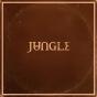 Sunshine - Vinil - Preview