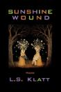 Sunshine Wound - Preview