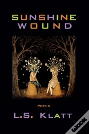 Capa do artigo Sunshine Wound