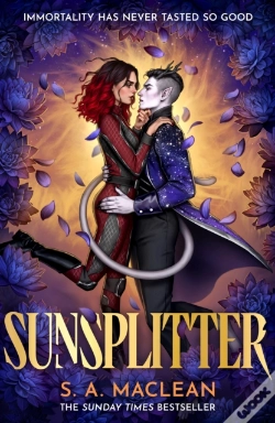 Capa do artigo Sunsplitter