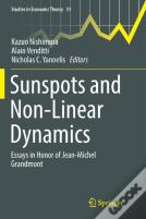 Sunspots And Non-Linear Dynamics