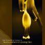 Sunwashed Evening Fire - CD - Preview