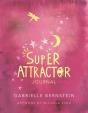 Super Attractor Journal - Preview