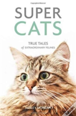 Capa do artigo Super Cats