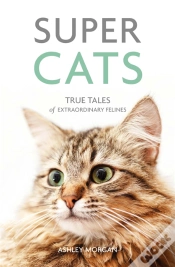 Capa do artigo Super Cats