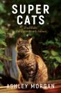 Super Cats - Preview