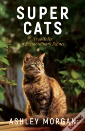 Capa do artigo Super Cats