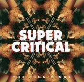 Capa do artigo Super Critical - CD