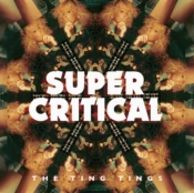 Capa do artigo Super Critical - Vinil
