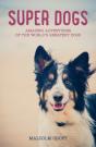 Super Dogs - Preview