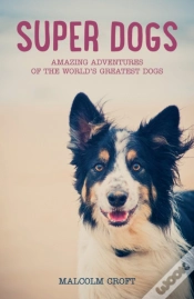 Capa do artigo Super Dogs