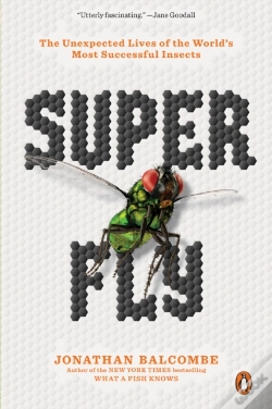 Capa do artigo Super Fly
